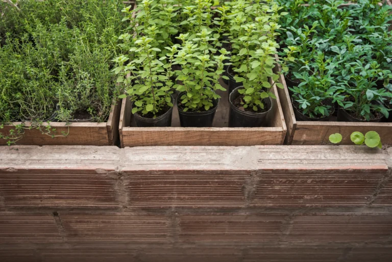 How to Make a Vertical Pallet Garden