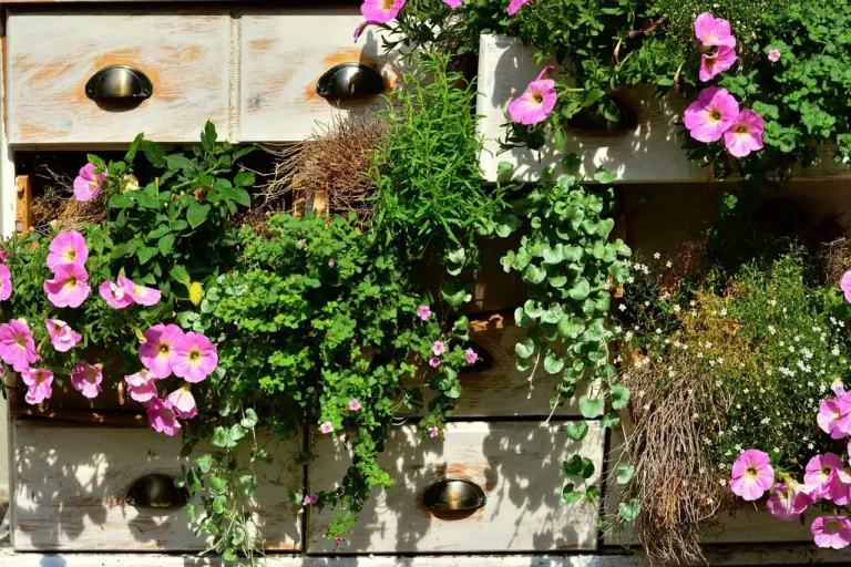 How to Have a Garden in an Apartment: Your Complete Guide
