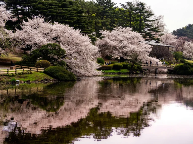 How to Make a Japanese Garden