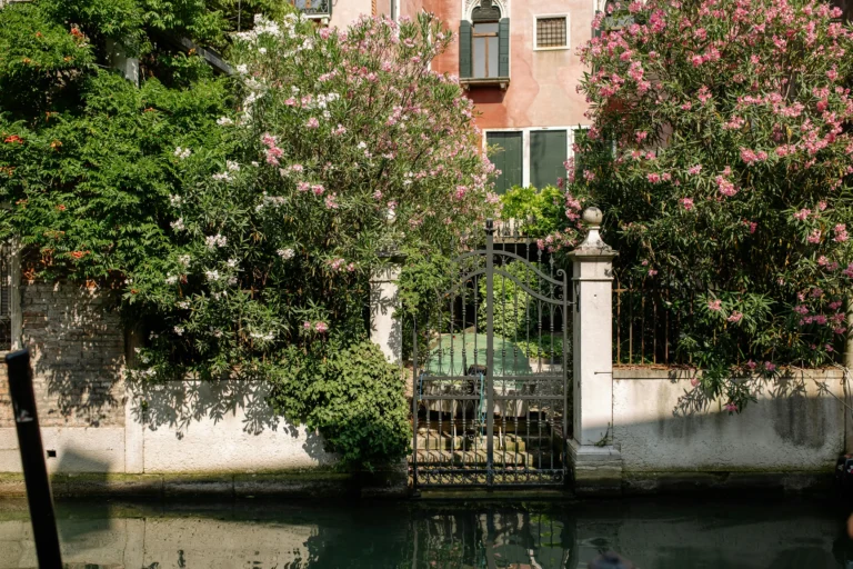 How to Build a Garden Gate: Your Complete DIY Guide